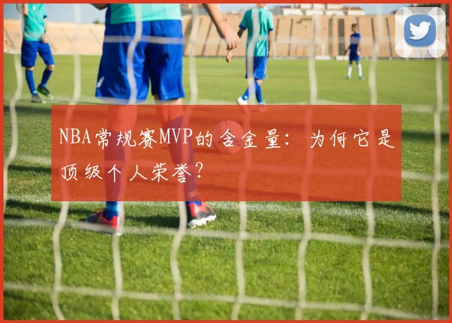 NBA常规赛MVP的含金量：为何它是顶级个人荣誉？