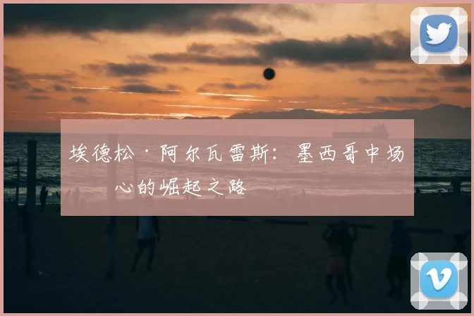 埃德松·阿尔瓦雷斯：墨西哥中场核心的崛起之路